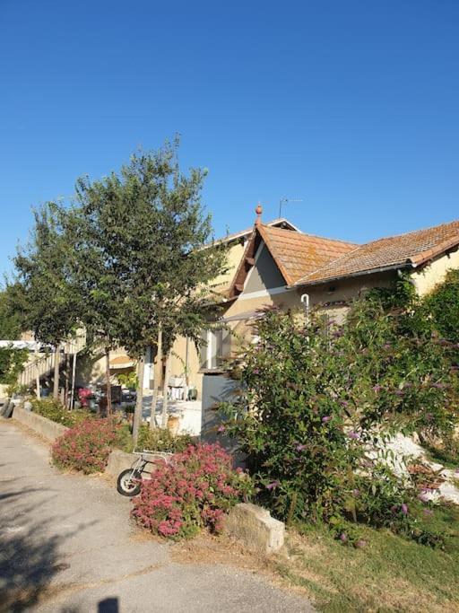 Saint-Andiol St Remy De Provence, La Maison Du Berger מראה חיצוני תמונה